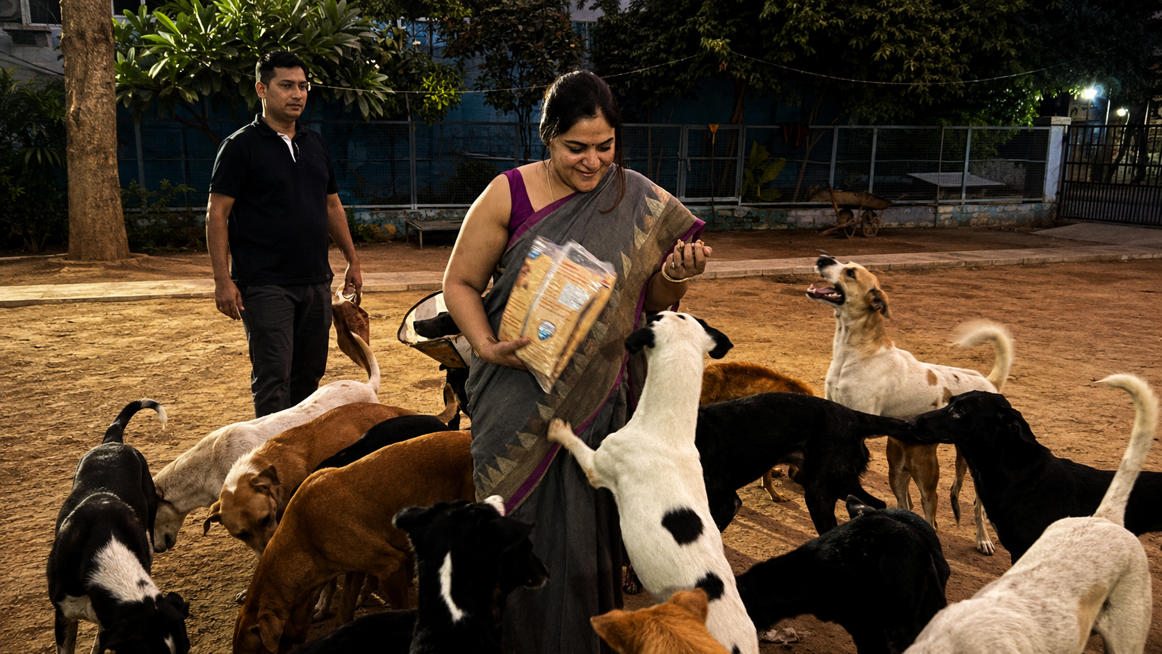 Animal Welfare